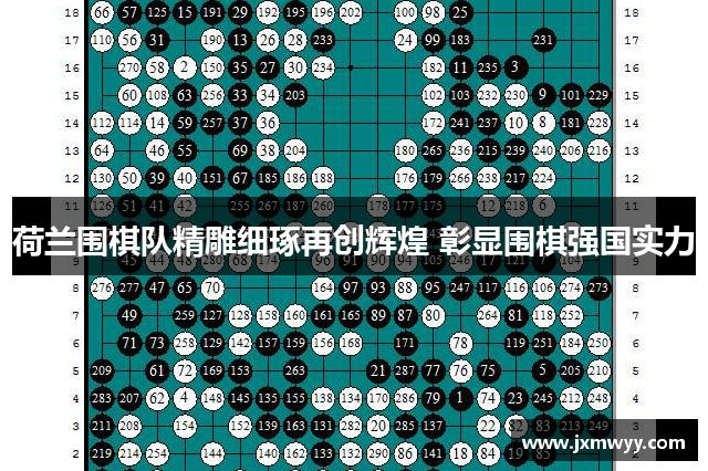荷兰围棋队精雕细琢再创辉煌 彰显围棋强国实力
