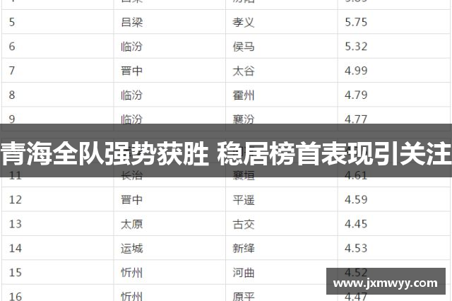 青海全队强势获胜 稳居榜首表现引关注