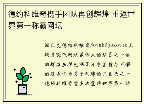 德约科维奇携手团队再创辉煌 重返世界第一称霸网坛